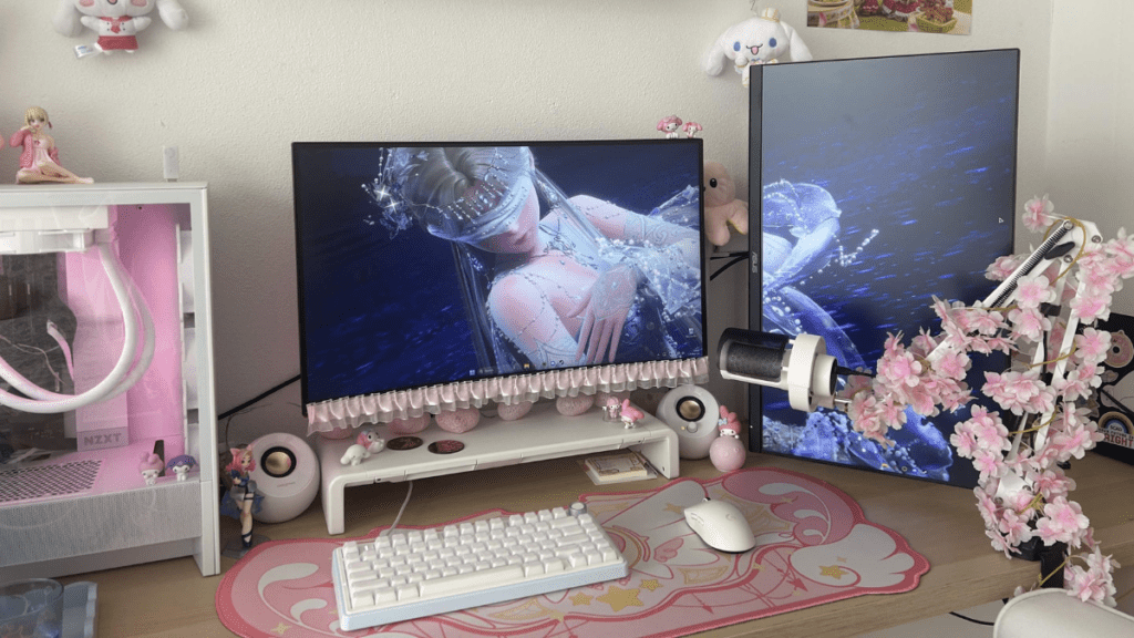 Cute gaming setup